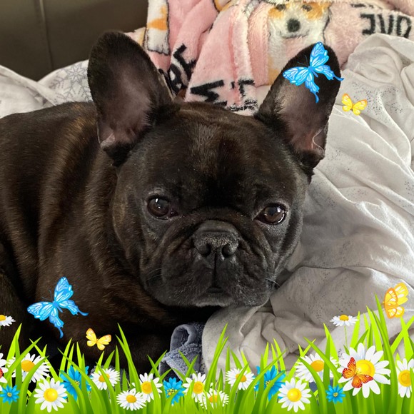 Meet your Posher, Theresa - Picture 1 of 1